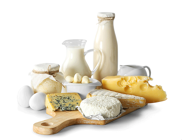 طبع لبنیات-طبع ماست-مزاج پنیر-طبع گرم شیر-